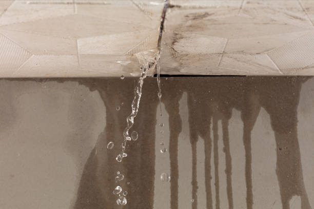 Professional Structural Drying technician working in University Park, TX